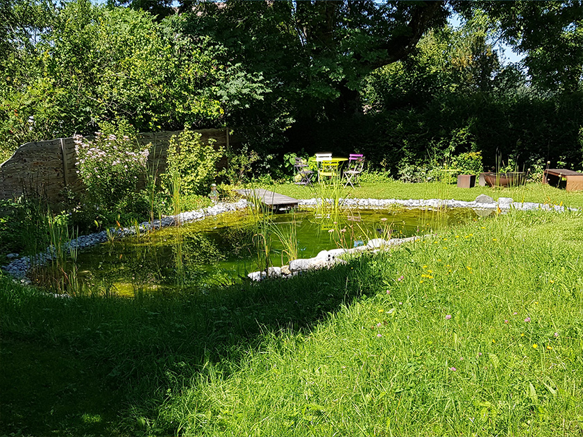Teich mit Steg und Sitzmöglichkeiten